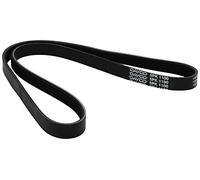 5PK1100 DAYCO CINGHIA POLY-V SERVIZI