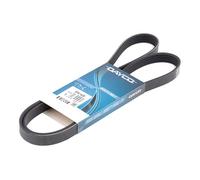 DAYCO 5PK1435 Cinghia servizi per VW Golf IV Hatchback (1J1) 1435,0mm