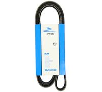 DAYCO 5PK1550 Cinghia servizi Cinghia Poly-V Cinghia alternatore Cinghia dei servizi
