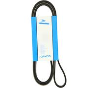 DAYCO 5PK1750 Cinghia Poly-V