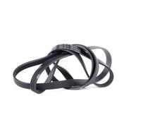 DAYCO 5PK2060 Cinghia servizi