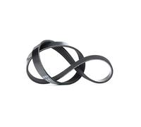 DAYCO 5PK775 Cinghia Poly V Com.Alt.Citroen Saxo XMD | Compatibile con: CITROËN AX, SAXO, SAXO Hatchback van, NISSAN MICRA II, PEUGEOT 106 I, 106 II, RENAULT LAGUNA I