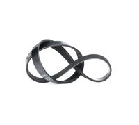 DAYCO 5PK775 Cinghia servizi per RENAULT LAGUNA I (B56, 556) 775,0mm