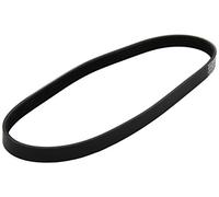 Dayco Cinghia trapezoidale multirighe 5PK810 per BMW Serie 3 Touring, Serie 5, X5