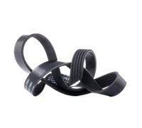 DAYCO 5PK810 Cinghia servizi per BMW 3 Limousine (E46) 5 Limousine (E39) 7 (E38)