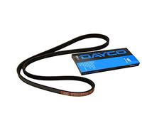 DAYCO 5PK875 CINGHIA POLY-V COM.ALT.HONDA PRELUDE