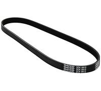 DAYCO 5PK915 Cinghia Poly-V