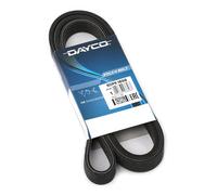 Dayco Cinghia 6Dpk1698
