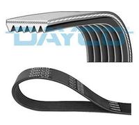 DAYCO 6PK1005 Cinghia servizi per VW Polo Schrägheck (6R1, 6C1) TIGUAN (5N)