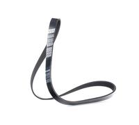 DAYCO 6PK1013 Cinghia servizi