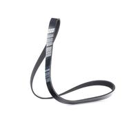 DAYCO 6PK1013 Cinghia servizi per FORD Escort VI Hatchback (GAL, AAL, ABL)