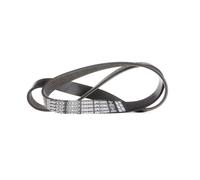 Cinghia Poly-V Dayco Originale per Auto/LCV Ford B-Max Fiesta 6PK1029EE