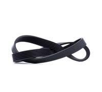 DAYCO 6PK1033 Cinghia servizi per VW Golf VII Hatchback (5G1, BQ1, BE1, BE2)