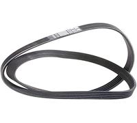 Cinghia trapezoidale multirighe 6PK1050S DAYCO per VW AUDI OPEL SEAT SKODA