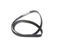 DAYCO 6PK1050S Cinghia servizi per VW Golf V Schrägheck (1K1) TOURAN (1T1, 1T2)