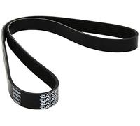 CINGHIA SERVIZI DAYCO DAY6PK1053