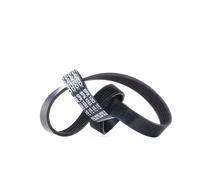 DAYCO 6PK1053 Cinghia servizi