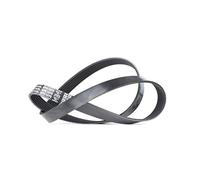 DAYCO 6PK1070 Cinghia Poly-V VAG