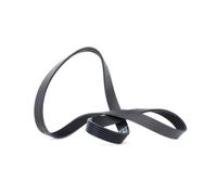 DAYCO cinghia Poly-V 6PK1100 6PK1100 6 nervature