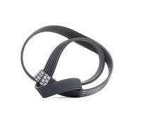 Dayco 6Pk1125 Cinghie A V Per Seat Mercedes-Benz VW Audi Skoda Renault