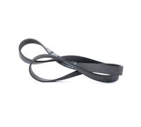 DAYCO 6PK1130 Cinghia servizi