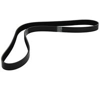 Cinghia trapezoidale multirighe 6PK1137 DAYCO per RENAULT VW DAIHATSU FIAT HONDA