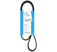 Cinghia Poly-V DAYCO 6PK1155