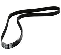 DAYCO 6PK1160 CINGHIA POLY-V SCUDO-DUCATO VERS.19