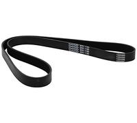6PK1185 DAYCO CINGHIA POLY-V SERVIZI