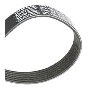 Dayco Cinghia Poly-V 6PK1200 COM.S-CZ per Citroën ZX 1.9