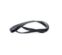 Cinghia Poly-V - DAYCO 6PK1310
