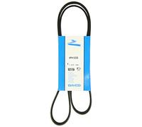CINGHIA SERVIZI DAYCO DAY6PK1323S