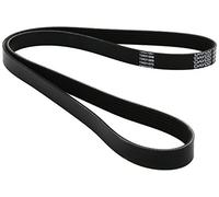Cinghia Poly-V Dayco Ausiliaria per Citroen Peugeot Ford Chrysler Mazda 6PK1341