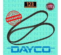 DAYCO 6PK1377S CINGHIA POLY-V