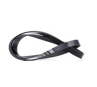 DAYCO 6PK1395S Cinghia Poly-V