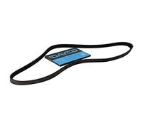 DAYCO 6PK1400 CINGHIA POLY-V RENAULT KANGOO D NUOVA