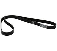 Dayco Cinghia Trapezoidale Pv 6Pk1415