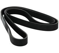 Dayco Cinghia Poly-V 6PK1520 per Ford, VW, Seat, Skoda
