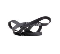 DAYCO 6PK1538 Cinghia servizi per VW Golf IV Hatchback (1J1) Bora Sedan (1J2)