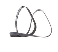 DAYCO 6PK1555 Cinghia servizi