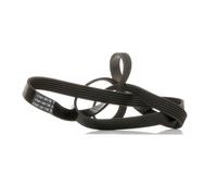 DAYCO 6PK1575 Cinghia servizi