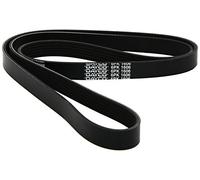 Cinghia trapezoidale multirighe 6PK1606 DAYCO per CITROËN RENAULT OPEL