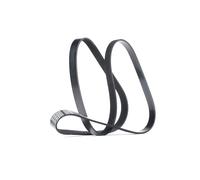 Cinghia trapezoidale multirighe 6PK1606 DAYCO per CITROËN RENAULT OPEL