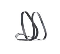 DAYCO 6PK1606 Cinghia servizi per OPEL ZAFIRA B (A05) Astra H Hatchback (A04)