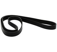Cinghia Poly-V DAYCO 6PK1613