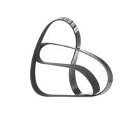 DAYCO 6PK1660 Cinghia servizi per VW Golf IV Hatchback (1J1) PASSAT (3B3)