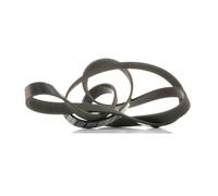 DAYCO 6PK1663S Cinghia servizi