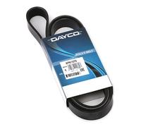 DAYCO cinghia Poly-V 6PK1670 6PK1670 6 nervature