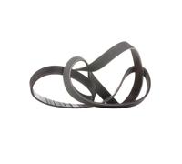 Cinghia Poly-V DAYCO 6PK1705