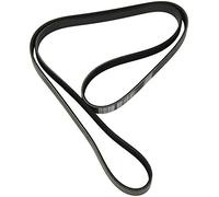 DAYCO 6PK1710 CINGHIA POLY-V COM.A-S-CZ RENAULT S-5 | Compatibile con: CHEVROLET CRUZE, CRUZE Schrägheck, CRUZE Station Wagon, CITROËN JUMPER II Bus, JUMPER II Kasten